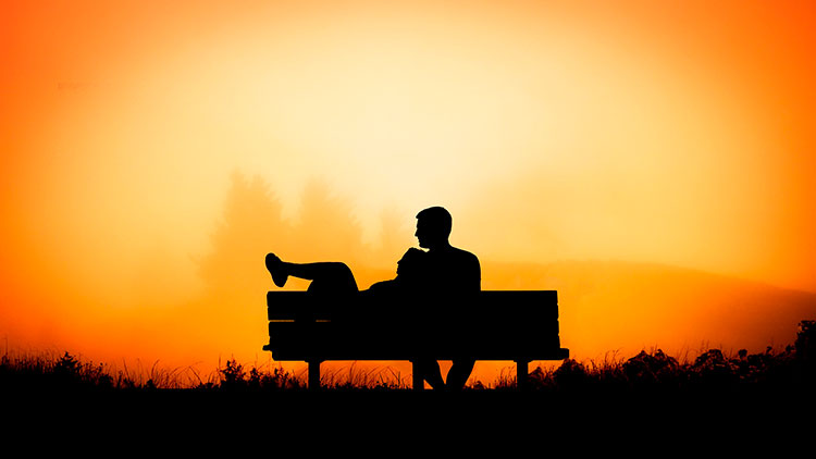 together on a bench